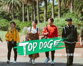 九色91POPNY《TOP DOG》免费在线观看